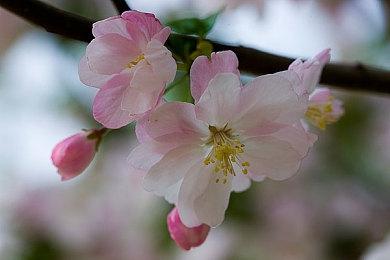 《燕云十六声》拥有30小时单人剧情 欲打破3A既定标准